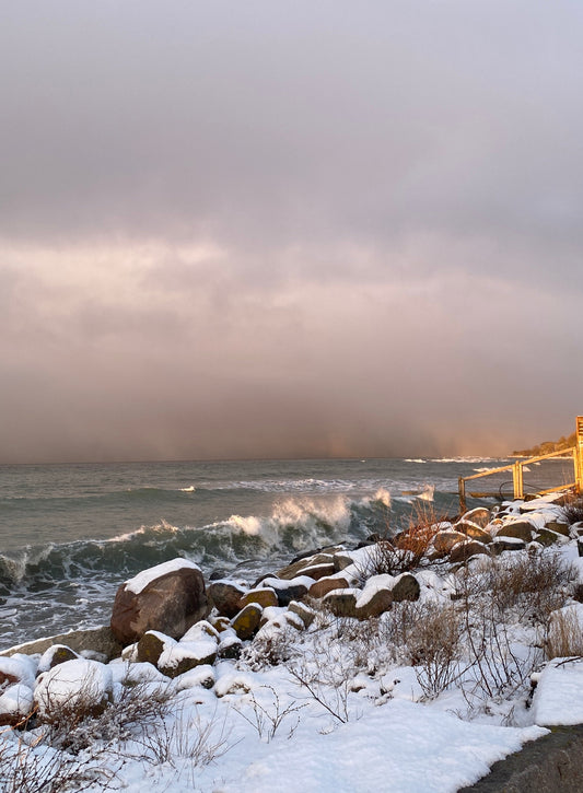 Att flytta till Gotland: Drömmen om ett kreativt liv på ön