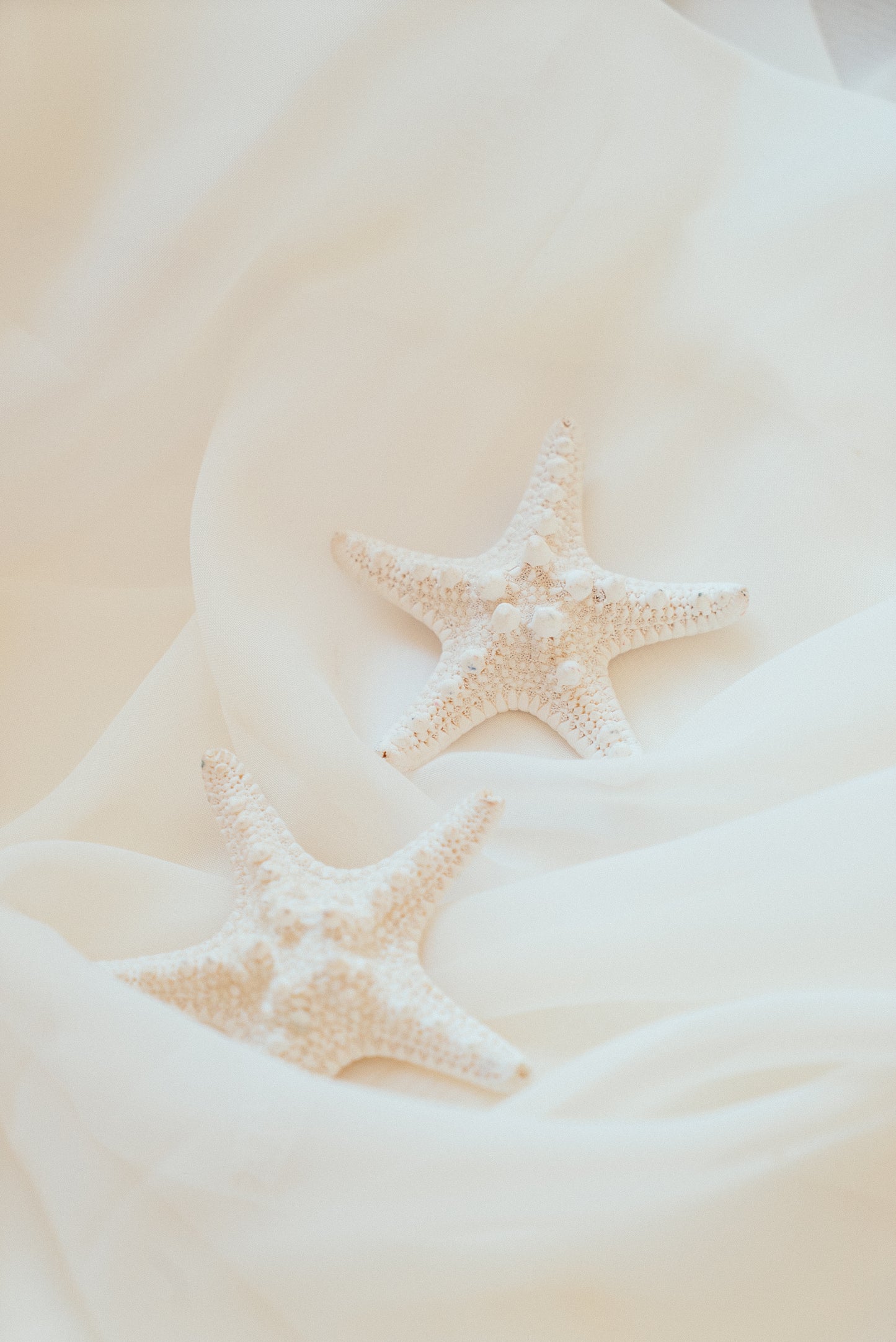 Stella Earrings