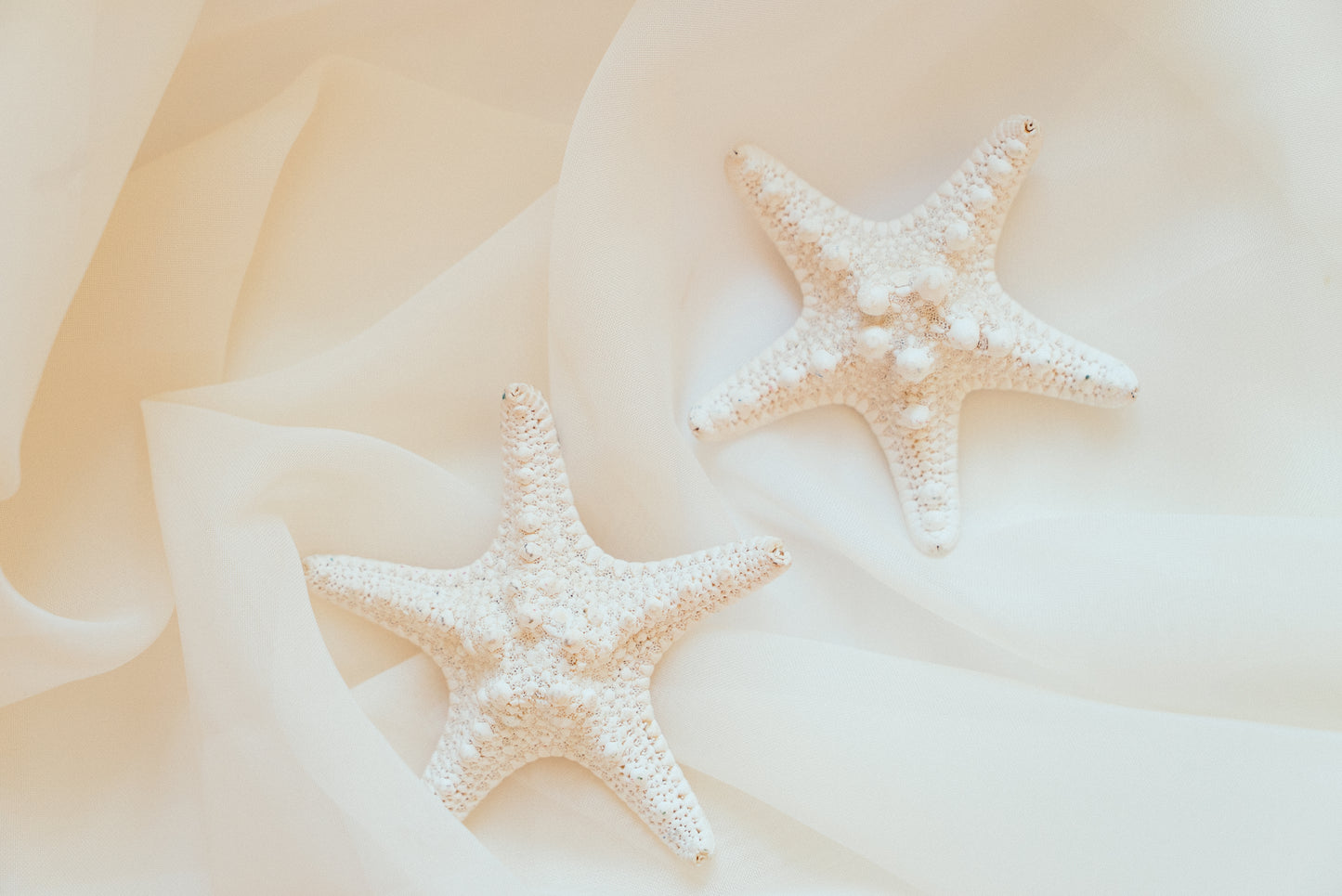 Stella Earrings