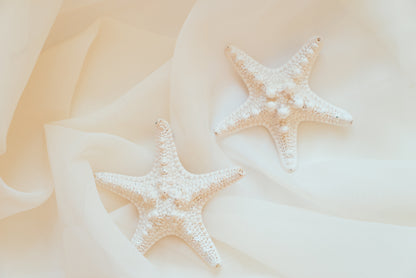 Stella Earrings