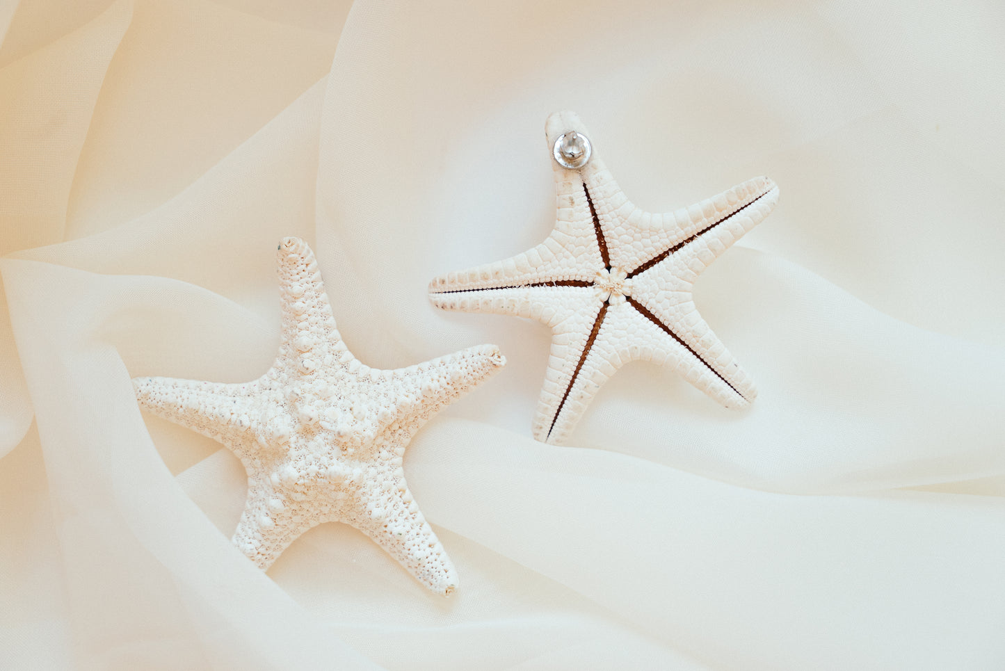 Stella Earrings